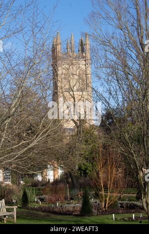 Oxford Botanic Garden, l'un des plus anciens jardins scientifiques du monde avec Magdalen Tower en arrière-plan Oxford Angleterre Royaume-Uni Banque D'Images