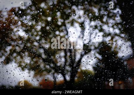 Gouttes de pluie sur verre devant les arbres. Banque D'Images