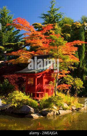 Jardin japonais, Point Defiance Park, Tacoma, Washington Banque D'Images