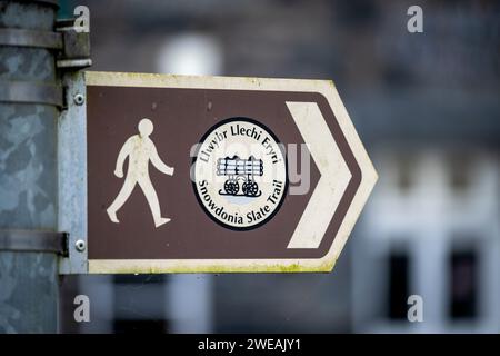 Snowdonia Slate Trail, à Betws-Y-Coed, parc national de Snowdonia Conwy, pays de Galles Banque D'Images