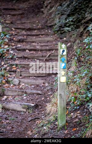 Panneau sur le parc forestier de Gwydir, Betws-Y-Coed, parc national de Snowdonia Conwy, Wale Banque D'Images