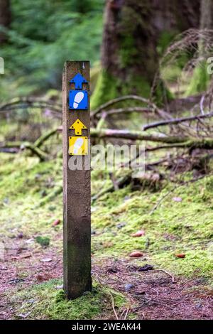 Panneau sur le parc forestier de Gwydir, Betws-Y-Coed, parc national de Snowdonia Conwy, Wale Banque D'Images