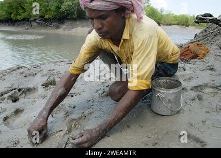 La pêche est le gagne-pain de nombreuses familles dans les Sundarbans, le plus grand delta du monde. Les gens prennent beaucoup de risques pour obtenir une bonne prise de poisson pour leur vie quotidienne. Saatjelia, Sundarban, Bengale occidental, Inde. Banque D'Images