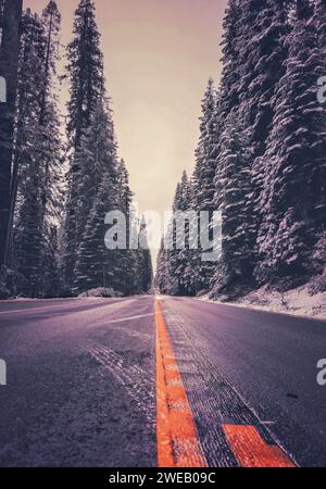 Route principale dans le parc national de Sequoia, en Californie, après une brève tempête de neige hivernale. Banque D'Images