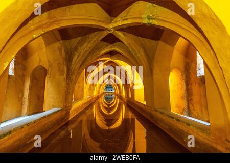 Bains de Lady Maria de Padilla dans l'Alcazar de Sevilla (Spaia) Banque D'Images