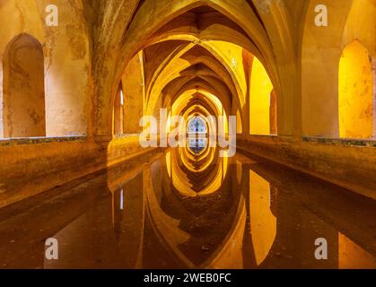 Bains de Lady Maria de Padilla dans l'Alcazar de Sevilla (Spaia) Banque D'Images