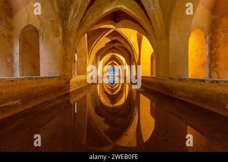 Bains de Lady Maria de Padilla dans l'Alcazar de Sevilla (Spaia) Banque D'Images