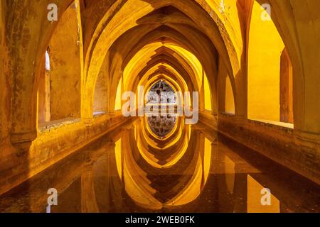 Bains de Lady Maria de Padilla dans l'Alcazar de Sevilla (Spaia) Banque D'Images