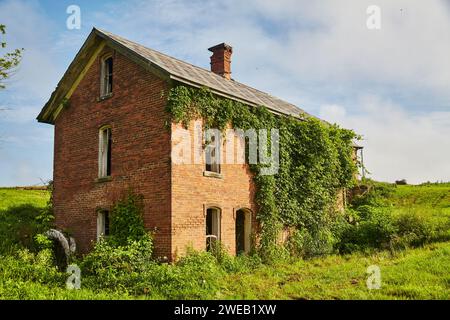 Envahi par la végétation sur la Brick House abandonnée dans un cadre rural Banque D'Images