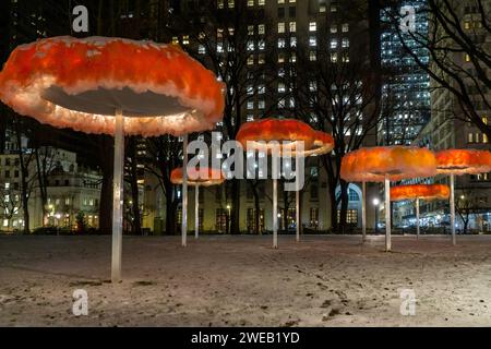 L'installation de Ana Maria HernandoÕs ÒTo Let the Sky Know / Dejar que el cielo sepaÓ. Le mercredi 17 janvier 2024. Les sculptures de tulle, évocatrices de nuages et une cascade seront sur les différentes pelouses du parc jusqu’au 17 mars. (© Richard B. Levine) Banque D'Images