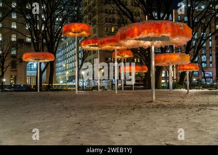 L'installation de Ana Maria HernandoÕs ÒTo Let the Sky Know / Dejar que el cielo sepaÓ. Le mercredi 17 janvier 2024. Les sculptures de tulle, évocatrices de nuages et une cascade seront sur les différentes pelouses du parc jusqu’au 17 mars. (© Richard B. Levine) Banque D'Images