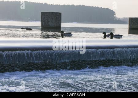 Un étang avec un barrage et des canards flottants par temps nuageux. Banque D'Images