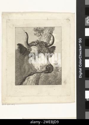 Tête de vache à droite, Joannes Bemme, d'après Jan Asselijn, 1800 - 1802 papier d'impression gravure vache (+ tête d'un animal) Banque D'Images