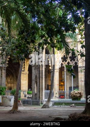 Cloître de la cathédrale de Barcelone Banque D'Images