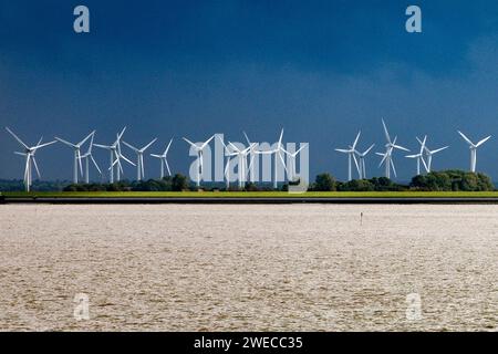 Beaucoup d'éoliennes dans les marais, Allemagne, Basse-Saxe, Frise orientale, Norddeich Banque D'Images