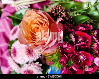 bouquet coloré avec roses, georginas et rose barbu Banque D'Images