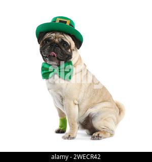 St. Fête de Patrick. Chien mignon chiot avec noeud papillon vert et chapeau leprechaun isolé sur blanc Banque D'Images