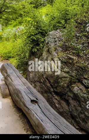 Banc de parc fait de rondins longs coupés sous l'arbre d'ombre à côté de gros rocher sur le sentier de randonnée dans la forêt récréative en Corée du Sud Banque D'Images