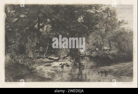 Arbres au bord de l'eau, Willem Steelink (I), d'après Johannes Warnardus Bilders, 1836 - 1913 print Paysage forestier avec de l'eau au premier plan. Amsterdam papier gravure forêt, bois. brook Banque D'Images