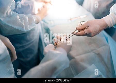 Vue en gros plan à grand angle d'une infirmière africaine méconnaissable aide les chirurgiens, en donnant une pince chirurgicale avec tampon pendant l'opération chirurgicale. Banque D'Images