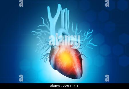 Anatomie du cœur humain sur fond scientifique. rendu 3d. Banque D'Images