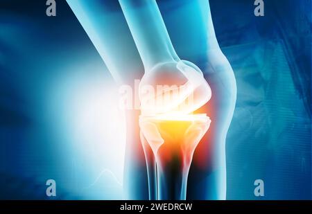 Anatomie de l'articulation du genou sur le fond médical. illustration 3d. Banque D'Images