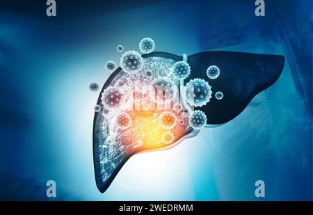 Le virus attaque le foie humain. illustration 3d. Banque D'Images