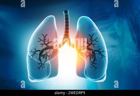 Anatomie des poumons humains sur fond bleu. illustration 3d. Banque D'Images