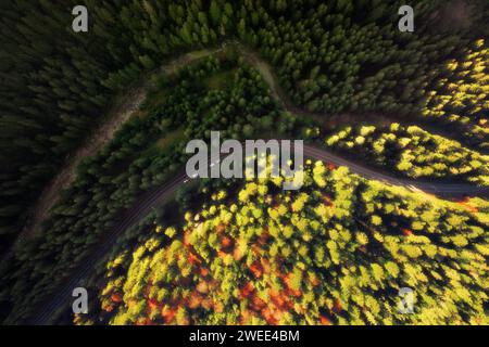 Route de montagne dans la belle forêt d'automne au coucher du soleil. Vue de dessus de l'antenne. Paysage coloré avec autoroute sinueuse, voitures, pins et rivière. Banque D'Images