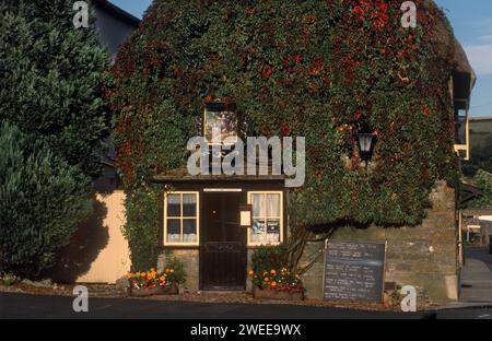 Village Pub Royal Oak, cerne Abbas, joli lierre couvert Dorset pubs locaux Angleterre 1990s 1991 UK HOMER SYKES Banque D'Images