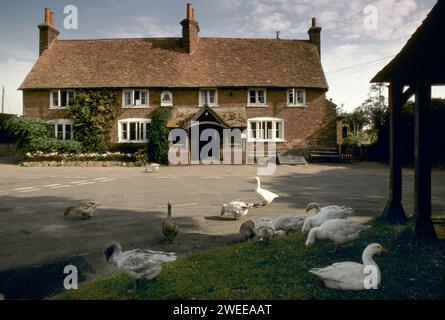 Le Bell Inn, Aldworth, Berkshire. Ce pub vieux de 400 ans a commencé sa vie en tant que Manor Hall. Les oies se promènent toujours dehors sur la route de campagne. Vie rurale des années 1990 Royaume-Uni 1991. Angleterre HOMER SYKES Banque D'Images