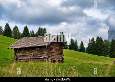 Cabane traditionnelle en bois sur prairie d'herbe verte en face des montagnes dolomites. Jour couvert en été, Seiser Alm, Tyrol du Sud, Italie Banque D'Images