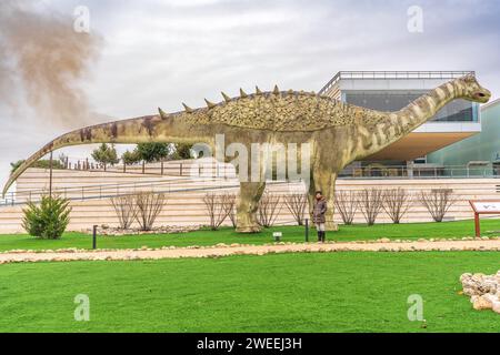 Museo Paleontologico de Castilla-la Mancha Banque D'Images