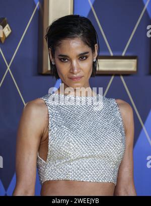 Londres, Royaume-Uni. 24 janvier 2024. Sofia Boutella assiste à la première mondiale de 'Argyle' à l'Odeon Luxe Leicester Square à Londres. Crédit : SOPA Images Limited/Alamy Live News Banque D'Images