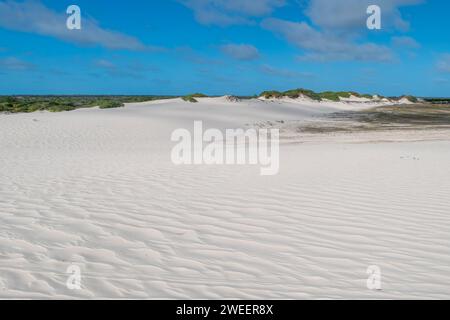 Paysage pittoresque de dunes désertiques Parc National de Lencois Maranhenses - Parque Nacional dos Lencois Maranhenses dans le nord-est du Brésil Banque D'Images