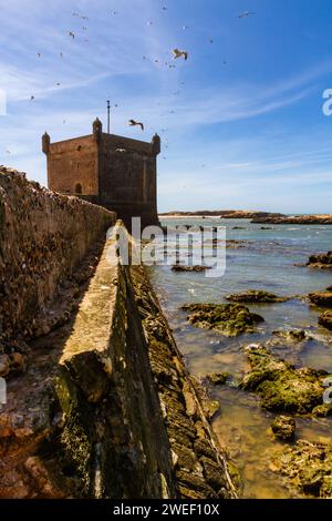 Bastion Sud Skala du Port d'Essaouira. Tour et murs de la fortification. Essaouira, Maroc, Afrique Banque D'Images