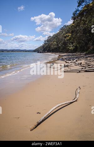 Lobster Beach déserte, Nouvelle-Galles du Sud, Australie Banque D'Images