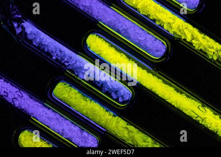 (240125) -- HEFEI, 25 janvier 2024 (Xinhua) -- cette image créée par Yang Yuanfan et des membres de sa société est un produit de visualisation scientifique. Yang Yuanfan, 27 ans, étudiant au doctorat à l'Université des sciences et de la technologie de Chine (USTC), est le fondateur de Anhui Shengke Culture Technology Co., Ltd Les étudiants de l'USTC et les diplômés qui ont étudié à l'étranger, seize au total, constituent l'entreprise. En 2022, Yang Yuanfan a démarré sa propre entreprise à la zone Shushan de la Grande Union de l'innovation, une plate-forme qui vise à incuber les entreprises d'innovation et à promouvoir la commercialisation o Banque D'Images