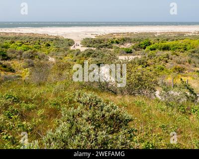 Vue panoramique sur les dunes, la plage de la mer du Nord et Duinhoevepad près de Renesse sur Schouwen-Duiveland, Zélande, pays-Bas Banque D'Images