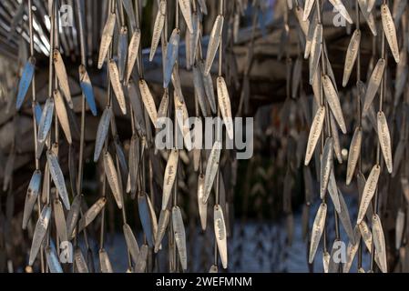 Budapest, Hongrie. 25 janvier 2024. Les noms des victimes sont gravés sur les feuilles du saule pleureur dans la synagogue de la rue Dohany. Holocaust Tree of Life Memorial il symbolise un saule pleureur et il se trouve à l'arrière-cour de la synagogue de la rue Dohany à Budapest, en Hongrie. Sculpture réalisée par Imre Varga en 1990 pour les souvenirs des 600000 Juifs hongrois tués par les nazis et leurs collaborateurs pendant la Seconde Guerre mondiale. Crédit : SOPA Images Limited/Alamy Live News Banque D'Images