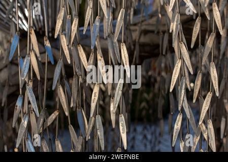 Budapest, Hongrie. 25 janvier 2024. Les noms des victimes sont gravés sur les feuilles du saule pleureur dans la synagogue de la rue Dohany. Holocaust Tree of Life Memorial il symbolise un saule pleureur et il se trouve à l'arrière-cour de la synagogue de la rue Dohany à Budapest, en Hongrie. Sculpture réalisée par Imre Varga en 1990 pour les souvenirs des 600000 Juifs hongrois tués par les nazis et leurs collaborateurs pendant la Seconde Guerre mondiale. (Photo Krisztian Elek/SOPA Images/Sipa USA) crédit : SIPA USA/Alamy Live News Banque D'Images