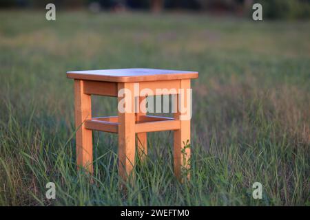 tabouret en bois abstrait sur prairie verte Banque D'Images