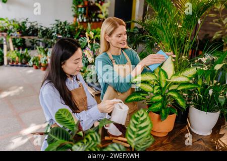 Une commerçante et son employé travaillent ensemble harmonieusement et amicalement, essuyant les feuilles des plantes dans un magasin ou un atelier rempli de plantes à fleurs Banque D'Images