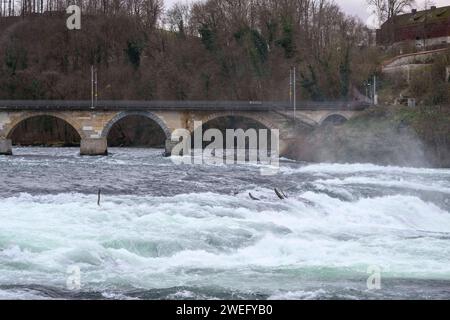 Eisenbahn und Fussgaengerbruecke ueber den Rhein, Rheinfall unterhalb des Schloss Laufen. 1880 im Rhein. Langzeitbelichtung, Rheinfall, Neuhausen Schweiz, 24.01.2024, Foto : HMB Media/Uwe Koch *** chemin de fer et passerelle au-dessus du Rhin, chutes du Rhin sous le Schloss Laufen 1880 dans le Rhin exposition longue, chutes du Rhin, Neuhausen Suisse, 24 01 2024, photo HMB Media Uwe Koch Copyright : HMBxMedia/UwexKoch Banque D'Images