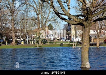 Un Manor Park inondé causé par des tempêtes hivernales à Shepperton par un jour ensoleillé d'hiver Surrey Angleterre Royaume-Uni Banque D'Images