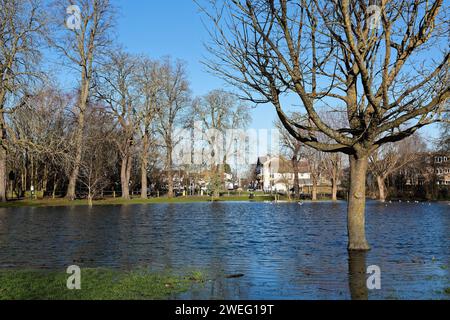 Un Manor Park inondé causé par des tempêtes hivernales à Shepperton un jour ensoleillé d'hivers Surrey Angleterre Royaume-Uni Banque D'Images