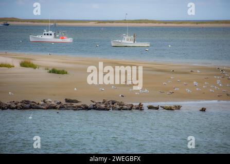 La vie à Chatham Pier - Cape Cod, Nouvelle-Angleterre Banque D'Images