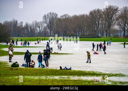 Les prairies du Rhin près de Düsseldorf-Niederkassel, patinoire après les inondations, en raison de la montée des eaux souterraines derrière la digue du Rhin, amusement hivernal, patinage sur glace, NR Banque D'Images