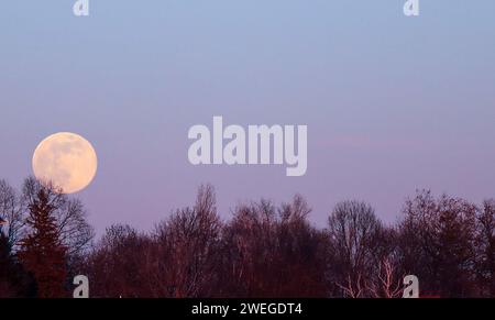 Zagreb, Croatie. 25 janvier 2024. Photo prise le 25 janvier 2024. Montre la pleine lune au-dessus de Zagreb, Croatie. Photo : Emica Elvedji/PIXSELL crédit : Pixsell/Alamy Live News Banque D'Images