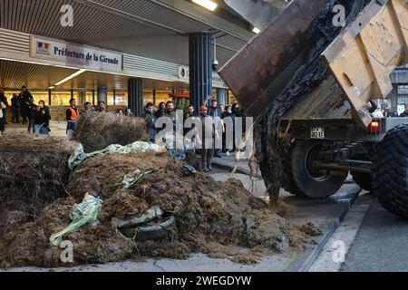 Bordeaux, France. 25 janvier 2024. © PHOTOPQR/Sud Ouest/Fabien Cottereau ; Bordeaux ; 25/01/2024 ; agriculteurs en couleur à Bordeaux devant la préfecture - French farmers' Protest Continuer France Bordeaux Jan 25, 2024 Credit : MAXPPP/Alamy Live News Banque D'Images